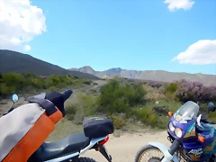 DSCN9661 DSCN9661