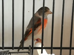 IMG_20170122_132127 IMG_20170122_132127