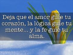 frases.joryx.com_2977_1 frases.joryx.com_2977_1