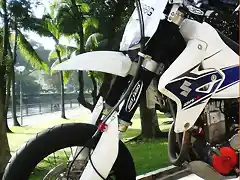 drz blanca