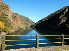 DSCN0907 DSCN0907