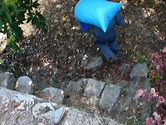 DSCN7508 DSCN7508