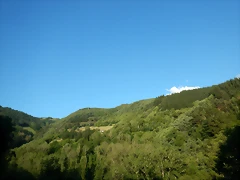 DSCN2452 DSCN2452