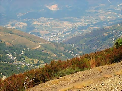 IMG_7682 IMG_7682