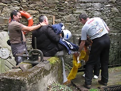 IMG_1410 IMG_1410