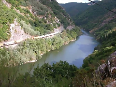 DSCN1843 DSCN1843