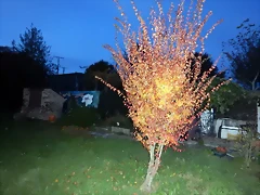 DSCN0660