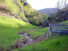 DSCN9088 DSCN9088