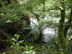 DSCN2770 DSCN2770