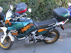 IMG_1431 IMG_1431