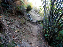 DSCN7944 DSCN7944