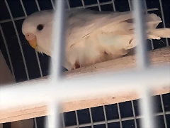 20180830_155435