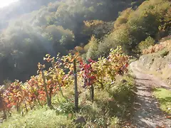 DSCN4468 DSCN4468