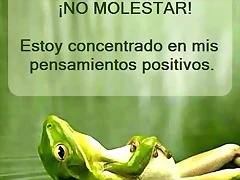 no molestar !!!