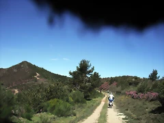DSCF2503 DSCF2503