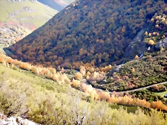 DSCN1373 DSCN1373