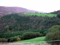DSCN6329 DSCN6329