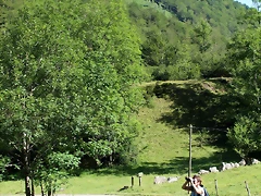 IMG_6740 IMG_6740