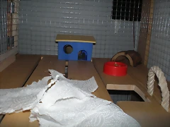 P6130323 P6130323