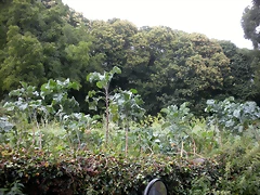 DSCN4717 DSCN4717