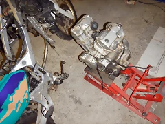 DSCN1386 DSCN1386