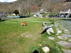 DSCN9725 DSCN9725