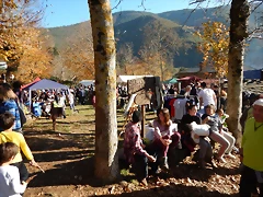 DSCN9181 DSCN9181