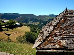 DSCN3931 DSCN3931