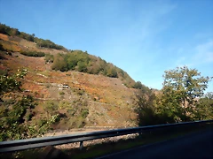 DSCN1580 DSCN1580
