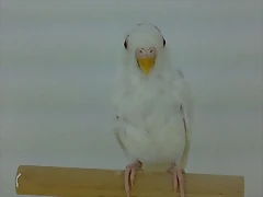 02052011580
