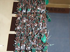 IMG_1168