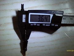 IMAG0001