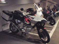 DSC00577