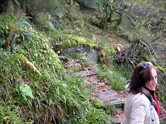 DSCN0661 DSCN0661