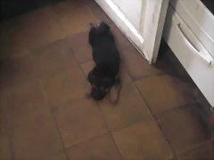 Foto0126