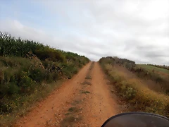 DSCN6464