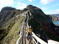 DSCN3099 DSCN3099
