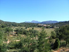 DSCN2340 DSCN2340