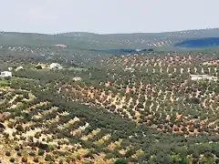 13, los charcones desde huerta franca, marca