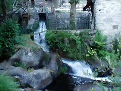 P1010205 P1010205
