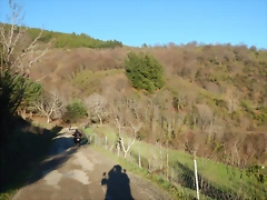 DSCN1730 DSCN1730