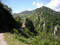 DSCN3851 DSCN3851