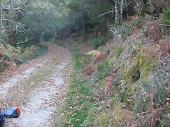DSCN7953 DSCN7953