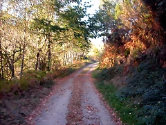 DSCN7955 DSCN7955