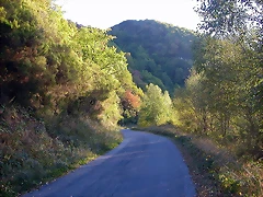 DSCN7959 DSCN7959