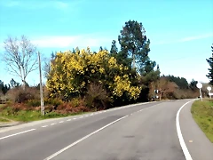 DSCN2545 DSCN2545