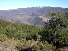 DSCN8009 DSCN8009