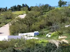 fuente del rosal, marca