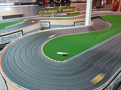 DSCN9595 DSCN9595