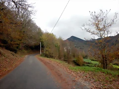DSCN2876 DSCN2876